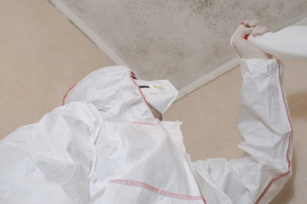  Center Line, MI Mold Removal Pros