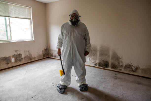 Best Professional Mold Removal  in Center Line, MI